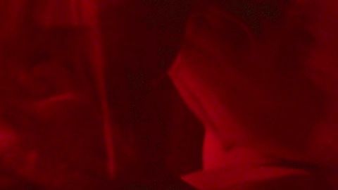 Pic: Jena Malone in Bottom of the World (2017)