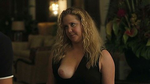 Pic: Amy Schumer in Snatched (2017)