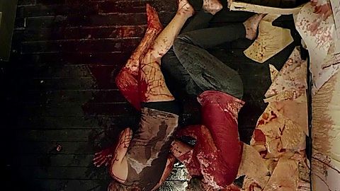 Pic: Tianna Nori in The Sublet (2017)