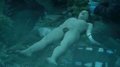 Pic: Valeria Salcedo in The Invisible Guardian (2017)