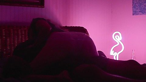 Pic: Aubrey Plaza in Ingrid Goes West (2017)