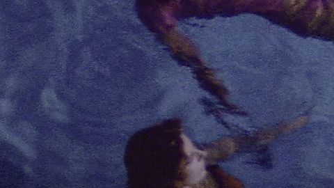 Pic: Jessica Harper in Suspiria (1977)