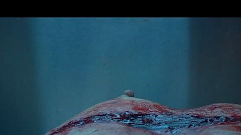 Pic: Jennifer Gjulameti in Chimera Strain (2018)