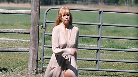 Pic: Kelly Reilly in Yellowstone (2018)