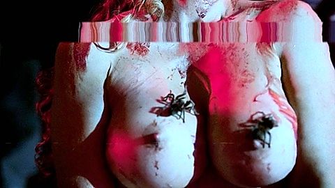 Pic: Diana Terranova in Director's Cut (2016)