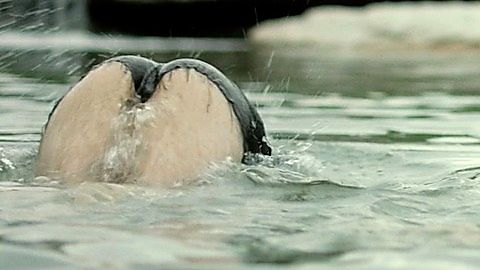 Pic: Sophie Reid in Barracuda (2017)