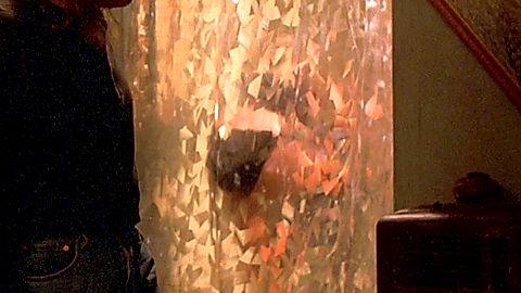Pic: Heidi Marnhout in Phantasm IV: Oblivion (1998)