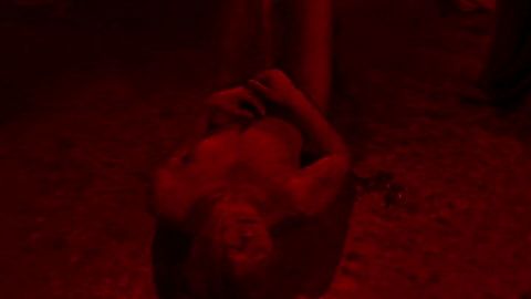 Pic: Chloë Grace Moretz in Suspiria (2018)
