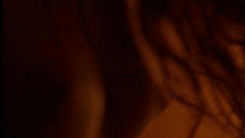 Pic: Laia Costa in Maine (2018)