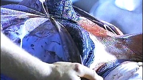 Pic: Wendy Speake in The Dead Hate the Living! (2000)