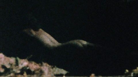 Pic: Deborah Quayle in Mutant War (1988)