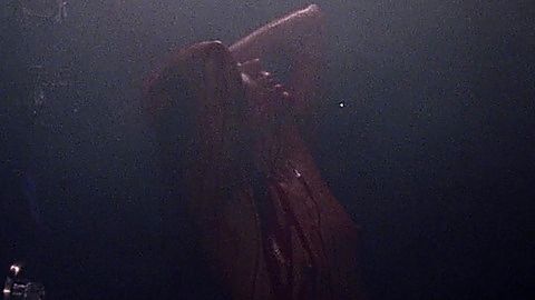 Pic: Dora Madison in Bliss (2019)