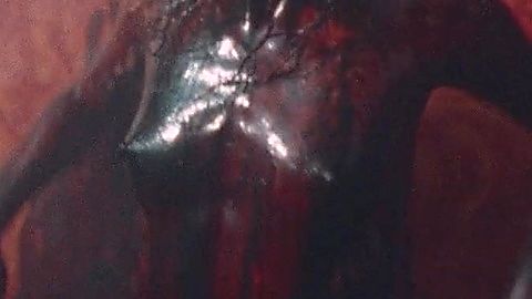 Pic: Dora Madison in Bliss (2019)