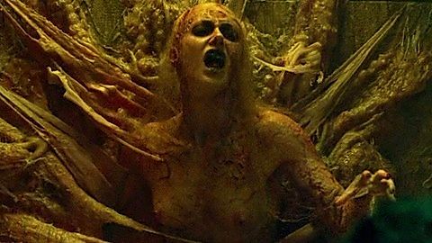Pic: Tristan Risk in Rabid (2019)