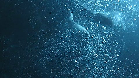 Pic: Laura Tremblay in Drowning (2019)