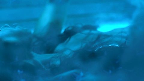 Pic: Renée Elise Goldsberry in Altered Carbon (2018)