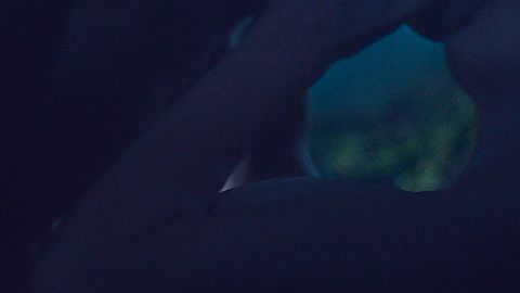 Pic: Wiktoria Filus in The Woods (2020)