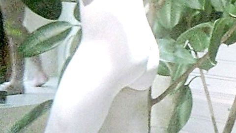 Pic: Linda Ipanema in Delivery Boys (1985)