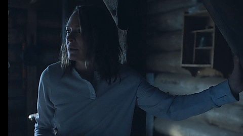 Pic: Robin Wright in Land (2021)