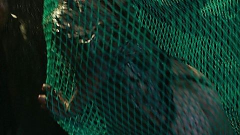 Pic: Karen Sollihaug in Beforeigners (2019)