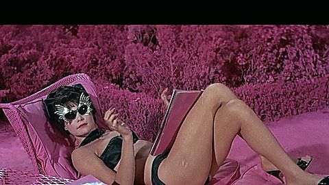 Pic: Shirley MacLaine in What a Way to Go! (1964)