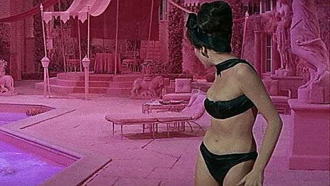 Pic: Shirley MacLaine in What a Way to Go! (1964)