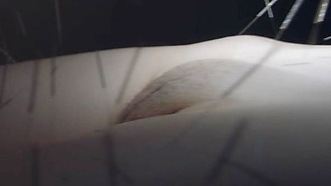 Pic: Aleksandra Szczepanowska in Touch (2020)