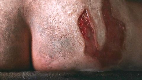 Pic: Malin Barr in A Wounded Fawn (2022)