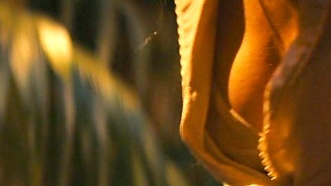 Pic: Karina Fontes in Babylon (2022)