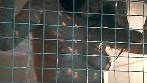 Pic: Jenny Miller in Graphic Desires (2022)
