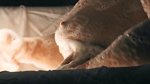 Pic: Jovana Stojiljković in Vera (2023)