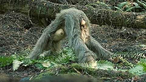 Pic: Riley Keough in Sasquatch Sunset (2024)