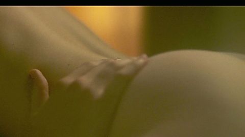Pic: Clara Galle in Through My Window 3: Looking at You (2024)