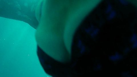 Pic: Annette Bening in Poolman (2024)