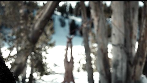 Pic: Alexa Barajas in Yellowjackets (2021)