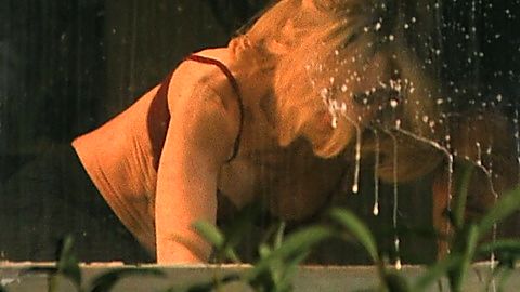 Pic: Nicole Kidman in Holland (2025)