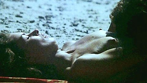 Pic: Elizabeth Loredan in Cheerleaders Beach Party (1978)