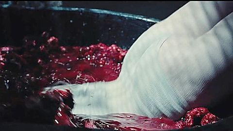 Pic: Zoe Colletti in Please Don't Feed the Children (2025)