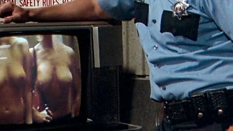 Pic: Deirdre L. Cowden in Airplane II: The Sequel (1982)