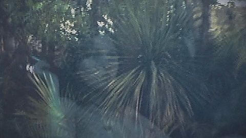 Pic: Mathilde Ollivier in The Wailing (2024)