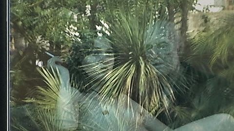 Pic: Mathilde Ollivier in The Wailing (2024)