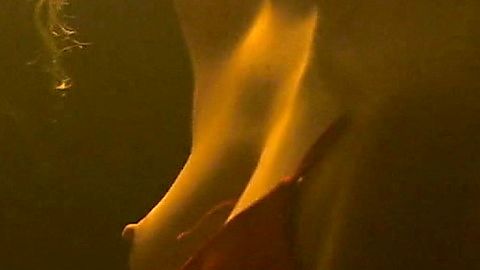 Pic: Morgan Saylor in You Mean Everything to Me (2021)