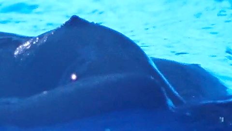 Pic: Imogen Poots in The Chronology of Water (2025)