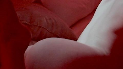 Pic: Aliya Brynn in The Dresden Sun (2026)