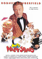 Title: Meet Wally Sparks (1997)