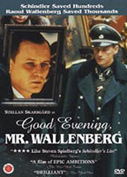 Title: Good Evening, Mr. Wallenberg (1990)