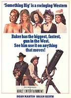 Title: Something Big (1971)