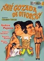 Title: ¡Qué gozada de divorcio! (1981)