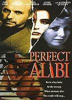 Title: Perfect Alibi (1995)