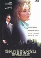 Title: Shattered Image (1993)